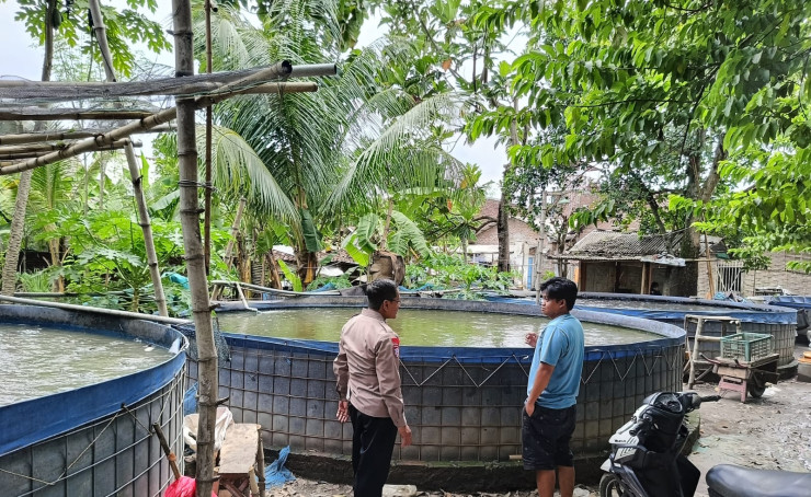 Polsek Tarik Dorong Ketahanan Pangan Lewat Program P2B di Desa Singogalih