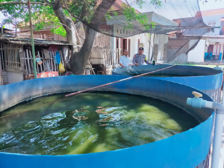 Polisi Sidoarjo Pantau Budidaya Lele di Masangan Kulon, Dukung Ketahanan Pangan Lokal