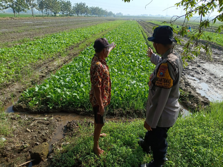 Bhabinkamtibmas Jeruklegi Dorong Produktivitas Lahan