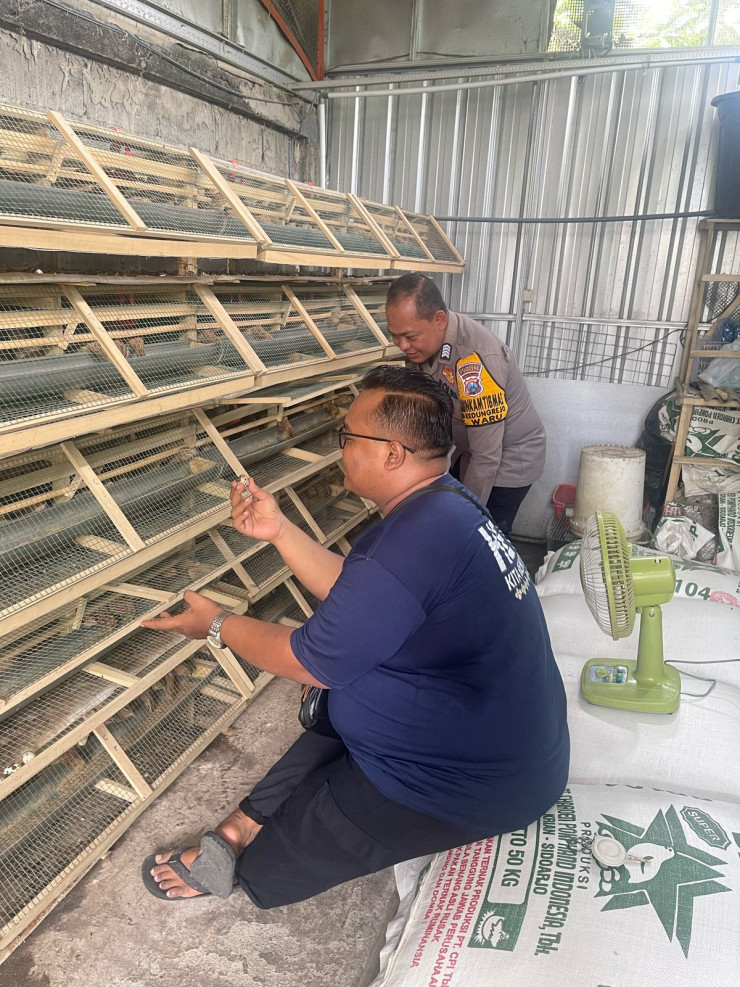 Bhabinkamtibmas Kedungrejo Dukung Ketahanan Pangan Lewat Ternak Burung Puyuh